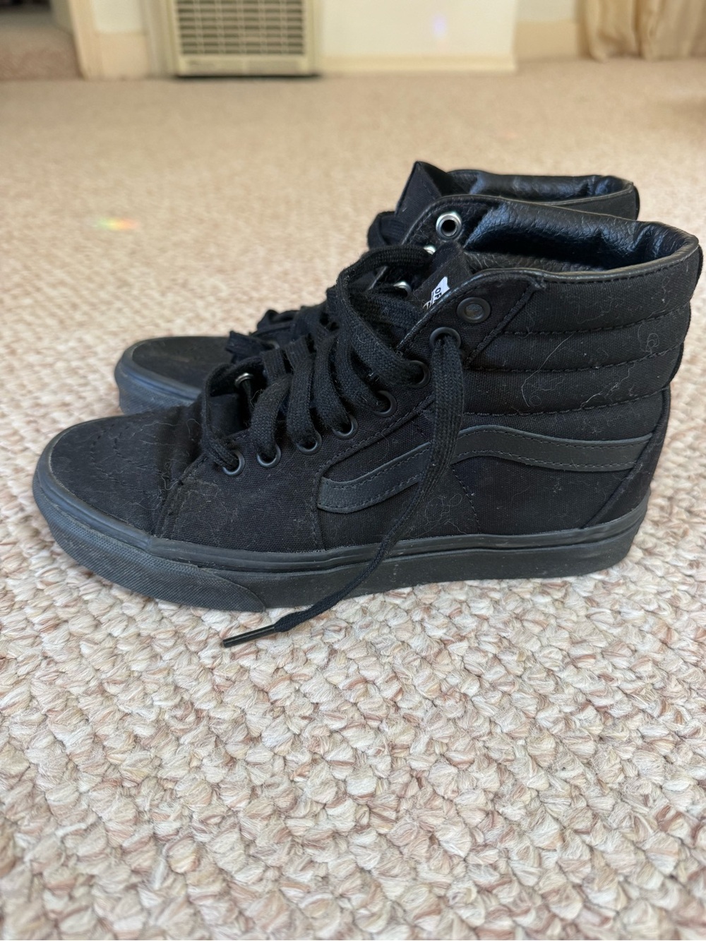 Vans Black High-Top Skate Sneakers